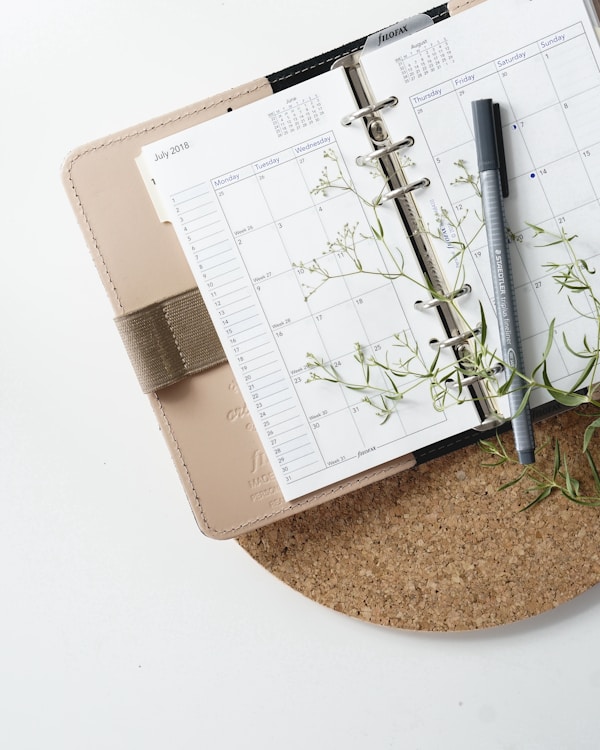A photo of my Filofax Original Nude in personal size for my Instagram page. Planning, in order to be productive, is very important to me and I find that it would be important for most professionals to use a similar system in order to free up headspace, to be more calm and less busy.by Renáta-Adrienn