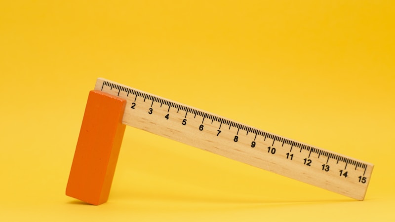 যুক্তরাজ্যে নতুন ইমিগ্রেশন আইন, বাংলাদেশিদের প্রভাব