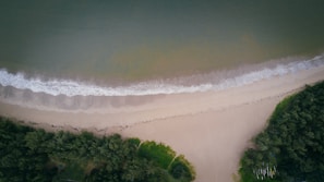 A panoramic shot capturing both the beach and the adjacent park in harmony