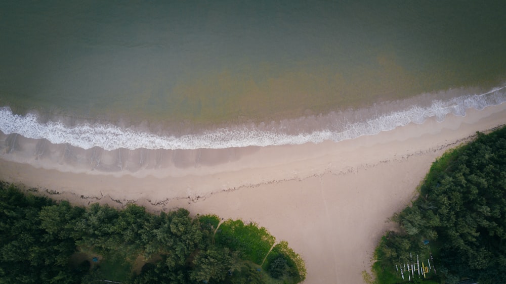 Vista aérea da praia perto de árvore de folhas verdes e água do oceano durante o dia