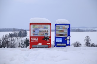 Two vending machines, one red and one blue, are covered with a layer of snow. They are situated in an outdoor winter setting, against a backdrop of snow-covered fields and bare trees in the distance.