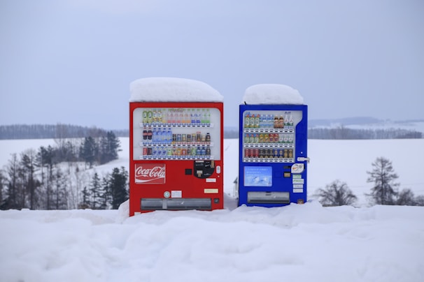 Two vending machines, one red and one blue, are covered with a layer of snow. They are situated in an outdoor winter setting, against a backdrop of snow-covered fields and bare trees in the distance.