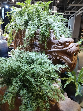 A lush fern plant cascades over a large, intricately carved sculpture of a dragon's head, which appears to be made of stone. The dragon has a fierce expression with detailed features. The setting is indoors, with modern lighting and industrial elements visible in the background.