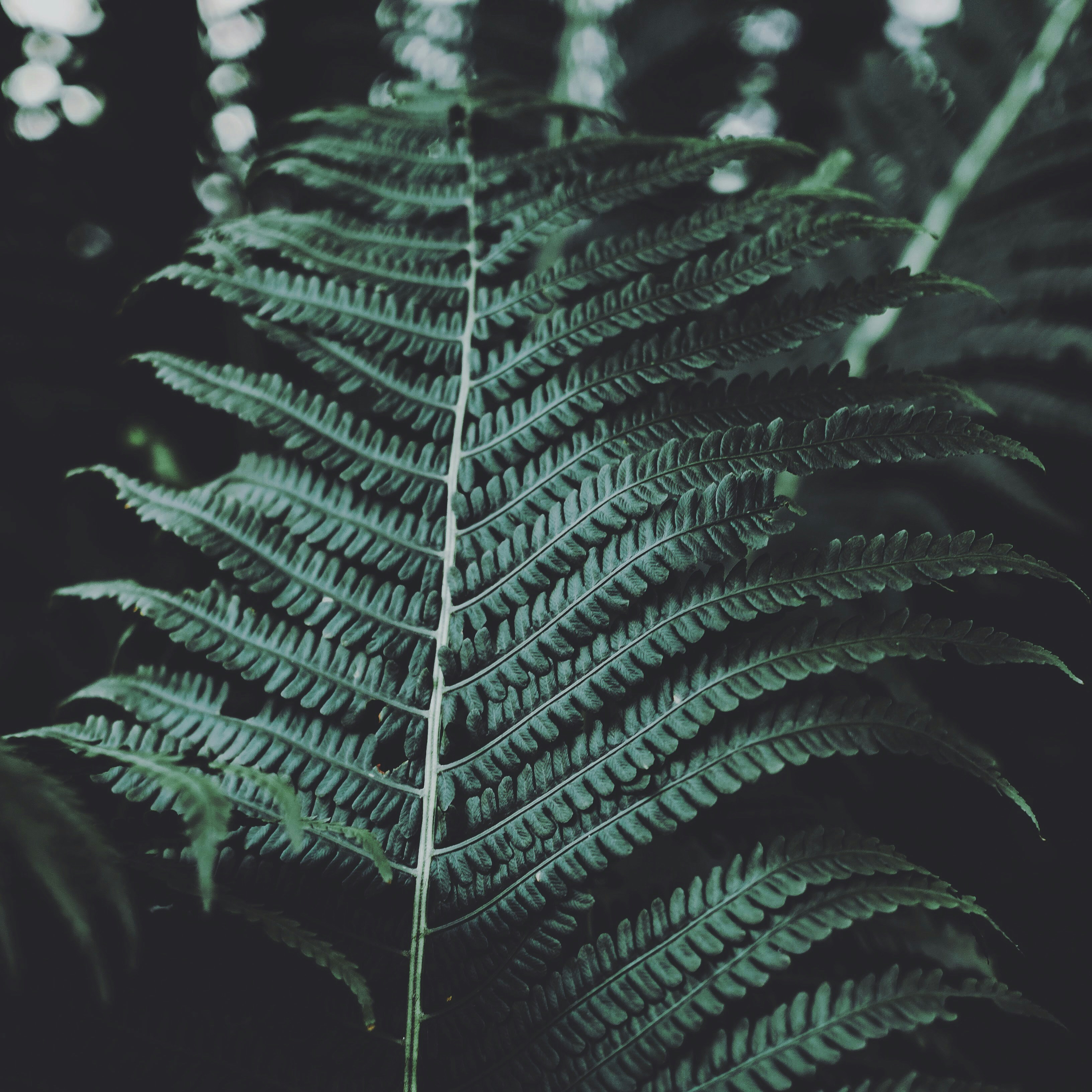 photo-1529679556588-0ec565289c32?ixid=M3wxMjA3fDB8MXxzZWFyY2h8NjJ8fDUlMjB3ZWVrcyUyMGFnbyUyMGZyb20lMjB0b2RheXxlbnwwfHx8fDE3MzczODcwMjh8MA%5Cu0026ixlib=rb-4.0.3