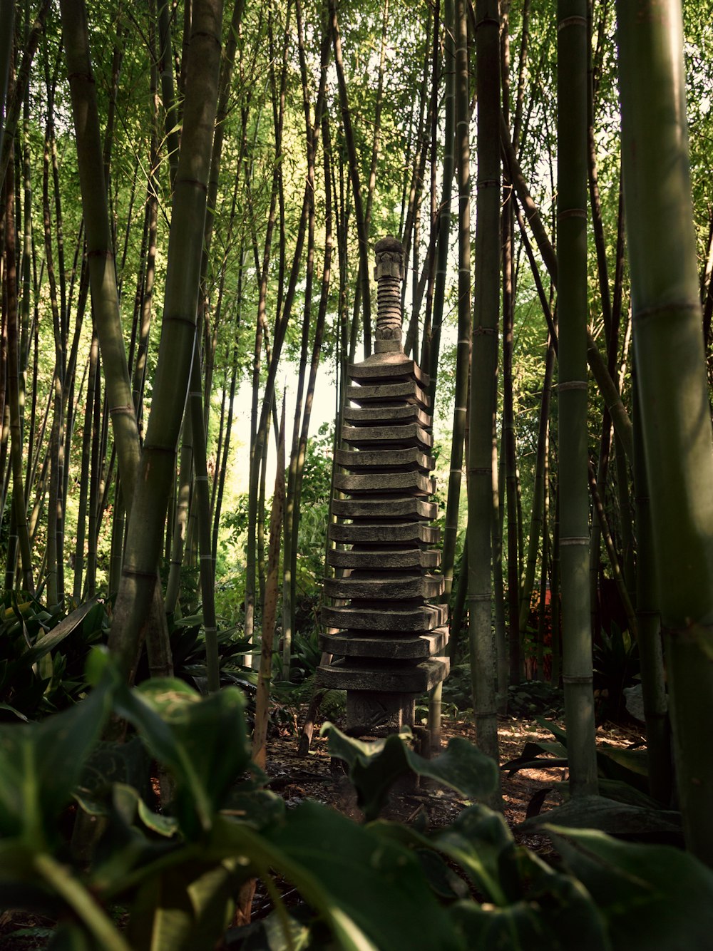 gray concrete structure surrounded by trees