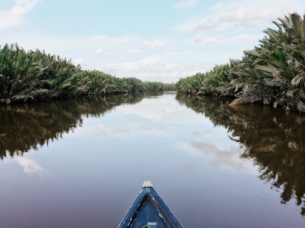 body of water between trees under cloudy sky