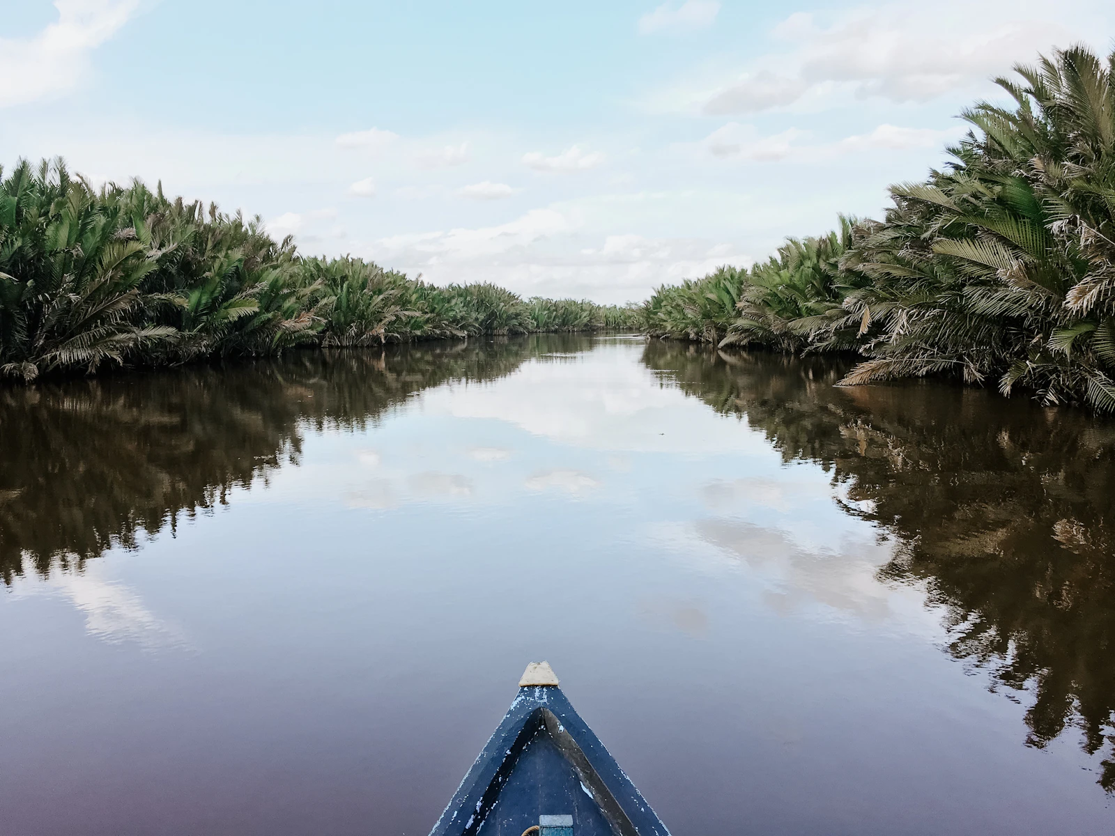 Tanjung Puting National Park