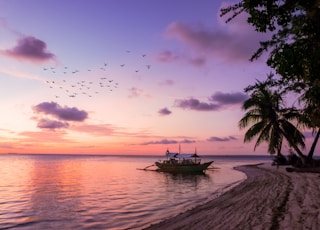 boat on seashore