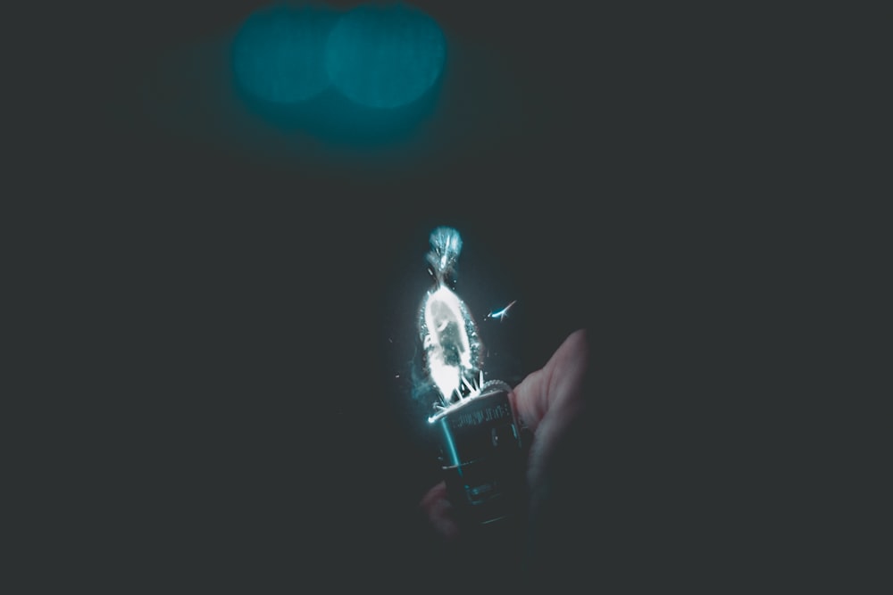 person holding lighted lighter