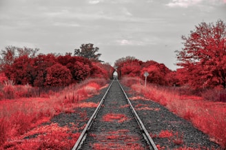 Build a personalized roadmap for the future.