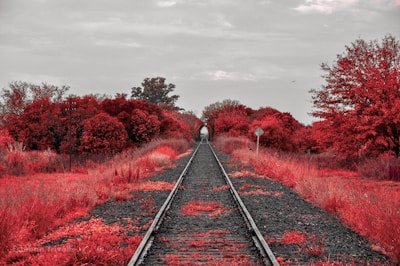 Build a personalized roadmap for the future.