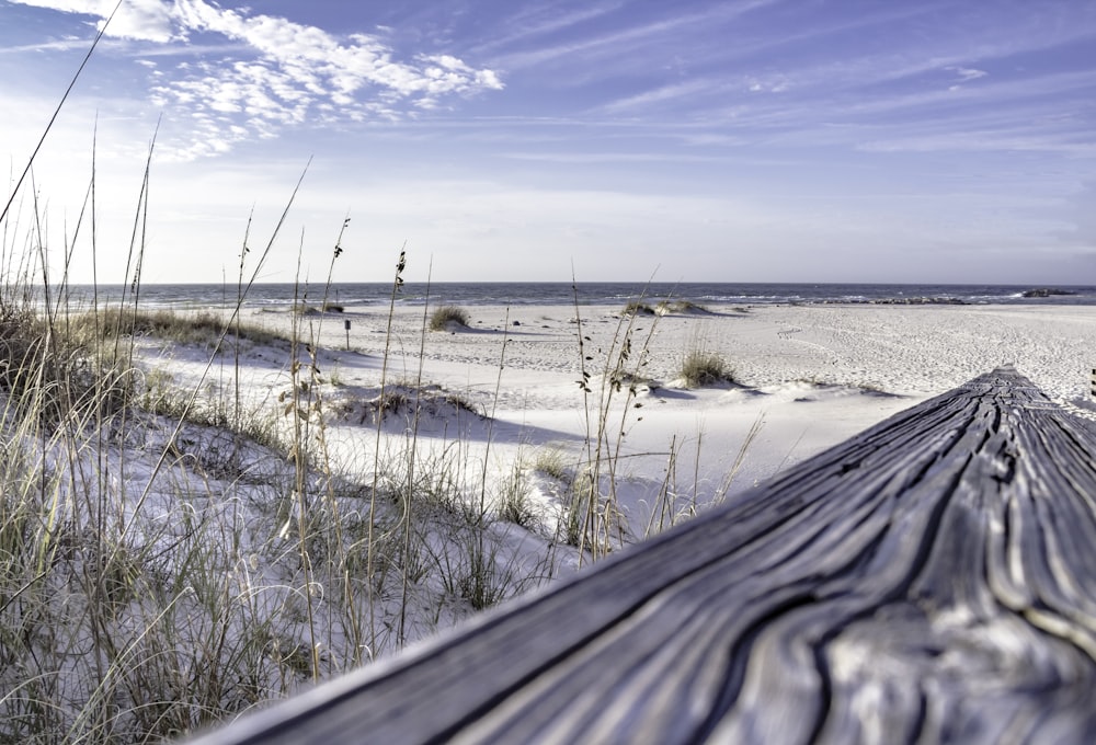 un banc en bois posé au sommet d’une plage de sable