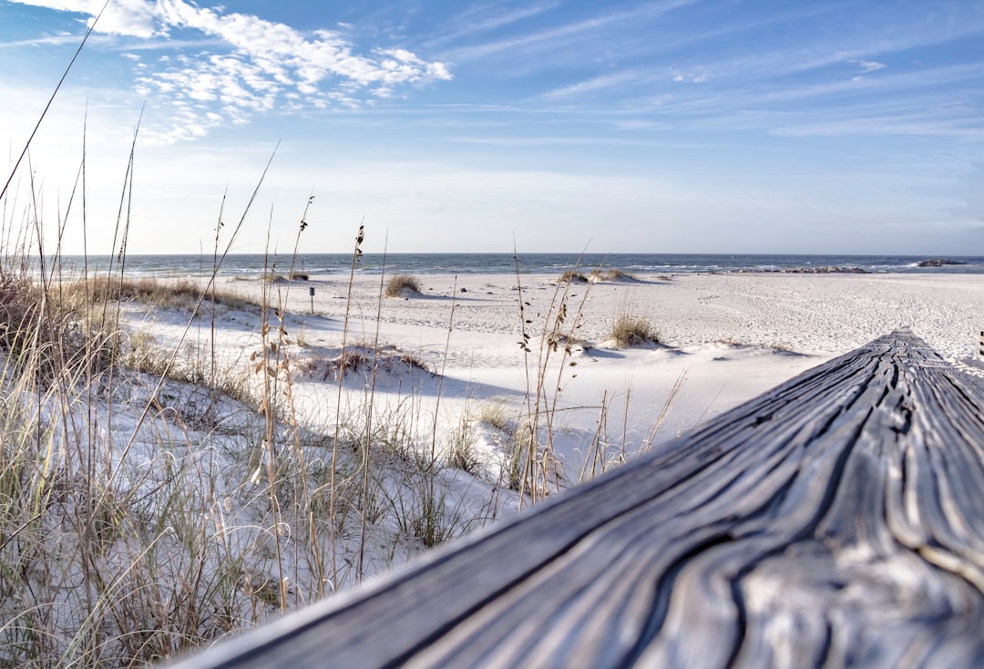 travelers stories about Ecoregion in Orange Beach, United States