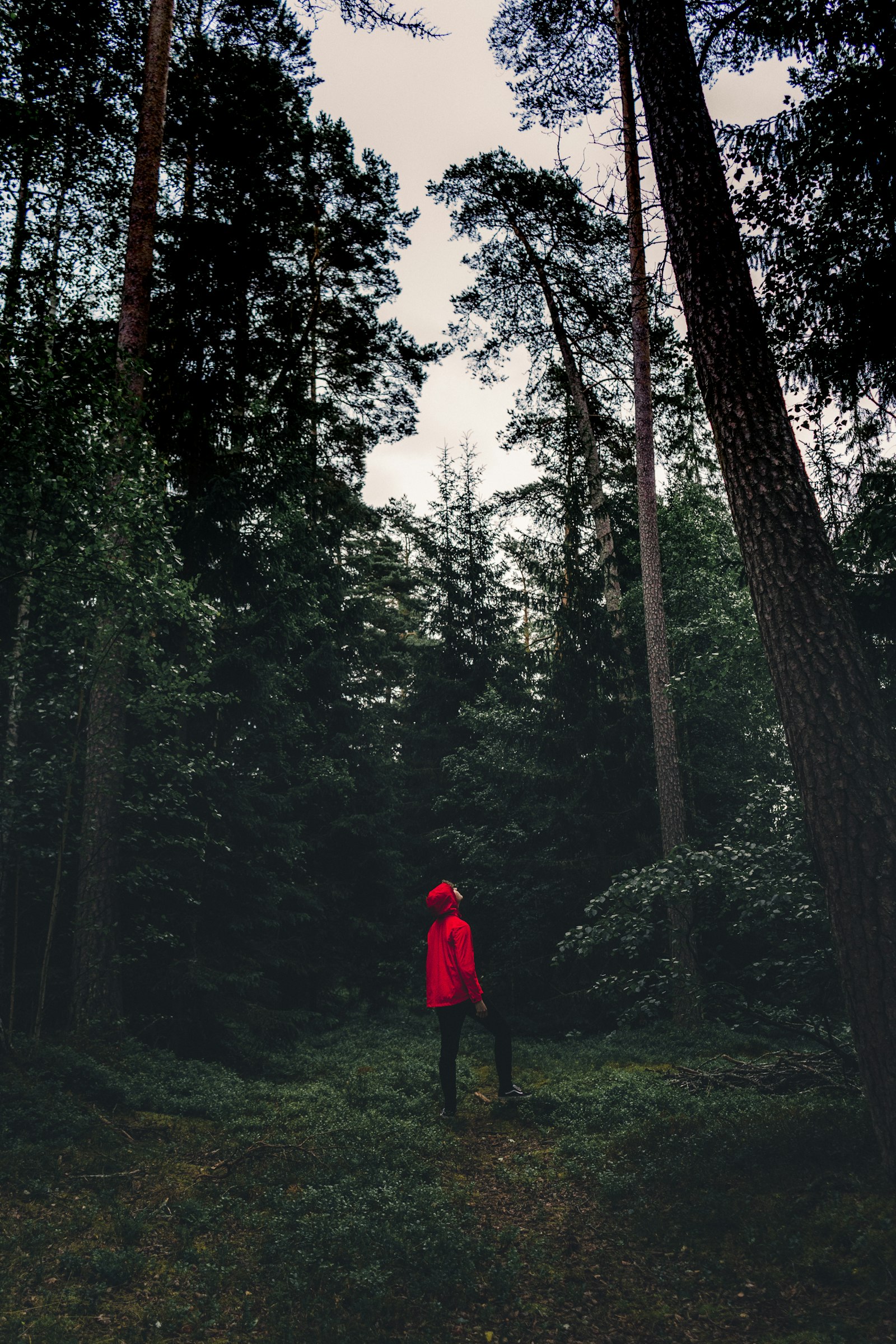 Sony FE 28-70mm F3.5-5.6 OSS sample photo. Man in red hoodie photography