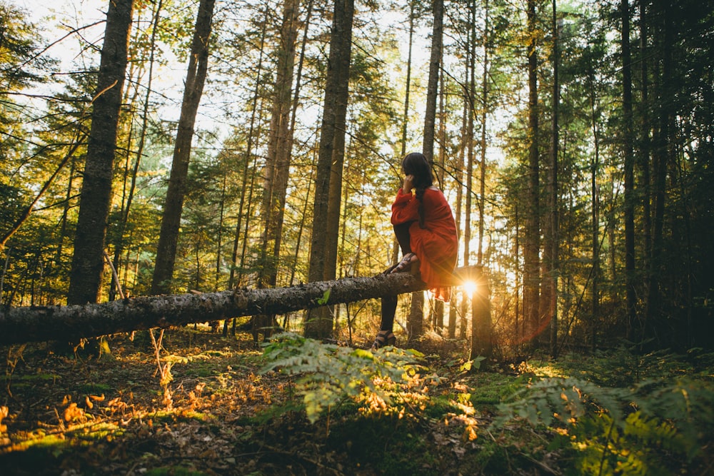 Frau sitzt auf grauem Baumstamm auf Wald unter Bäumen während des Sonnenaufgangs