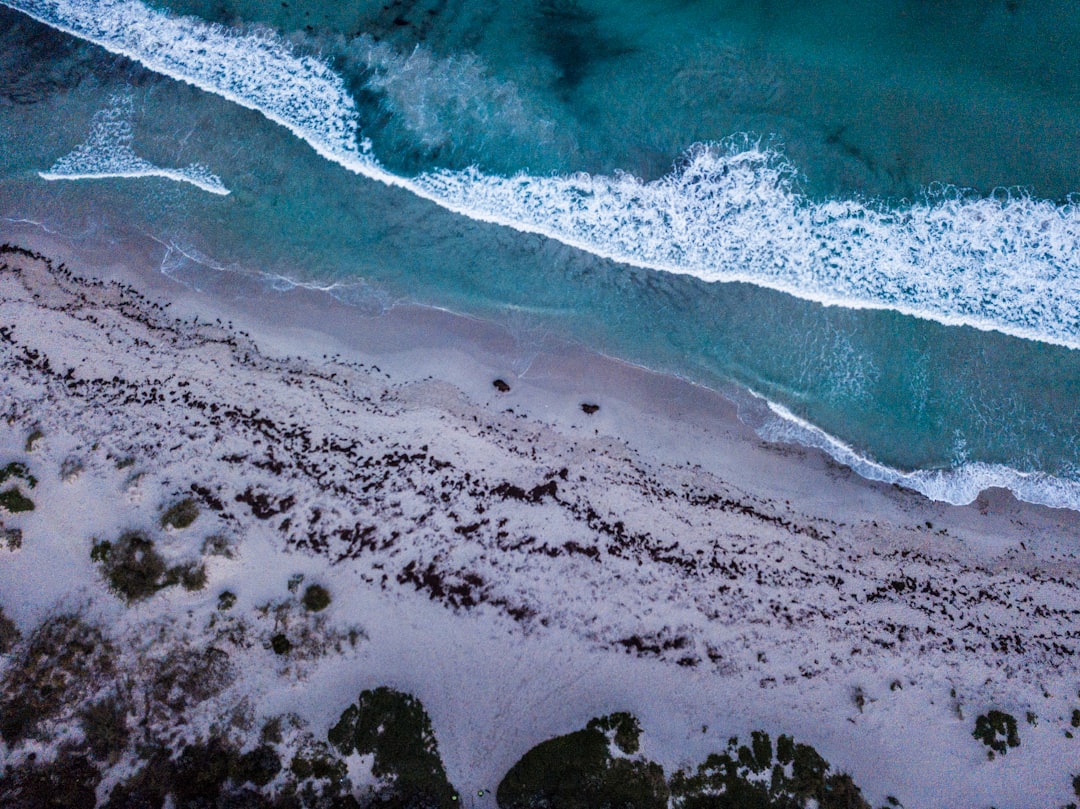 travelers stories about Shore in 1 Curtin Ave, Australia