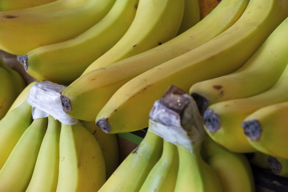 bundle of bananas