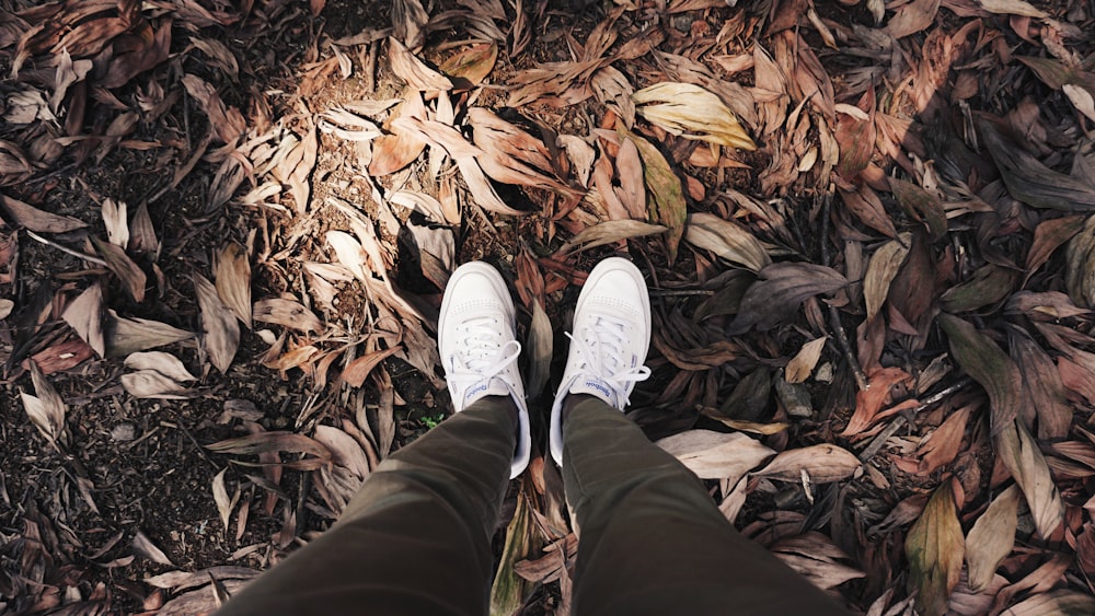 personne portant des baskets blanches debout sur la surface des feuilles séchées
