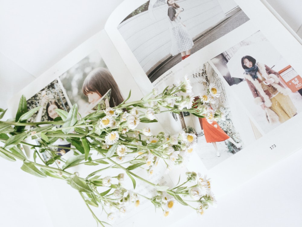 white-and-yellow flowers on photo album