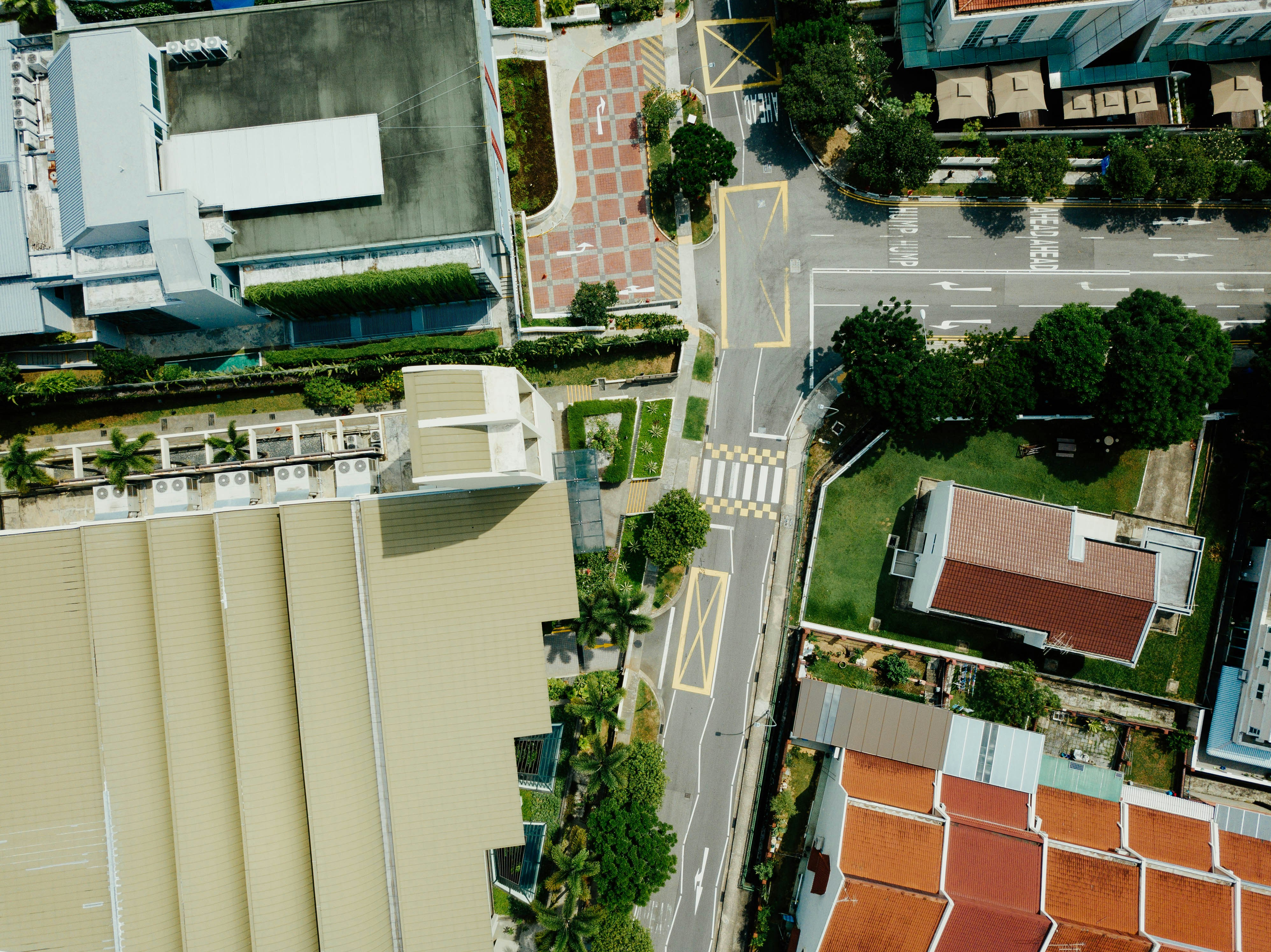 Photo by chuttersnap