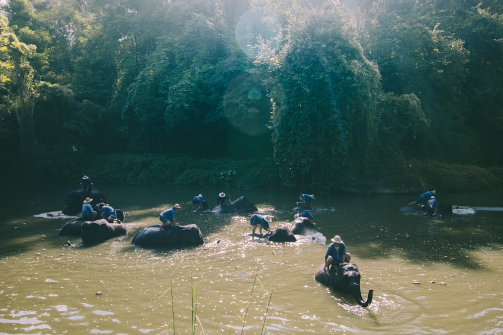 photo of people riding elephants crossing body of water