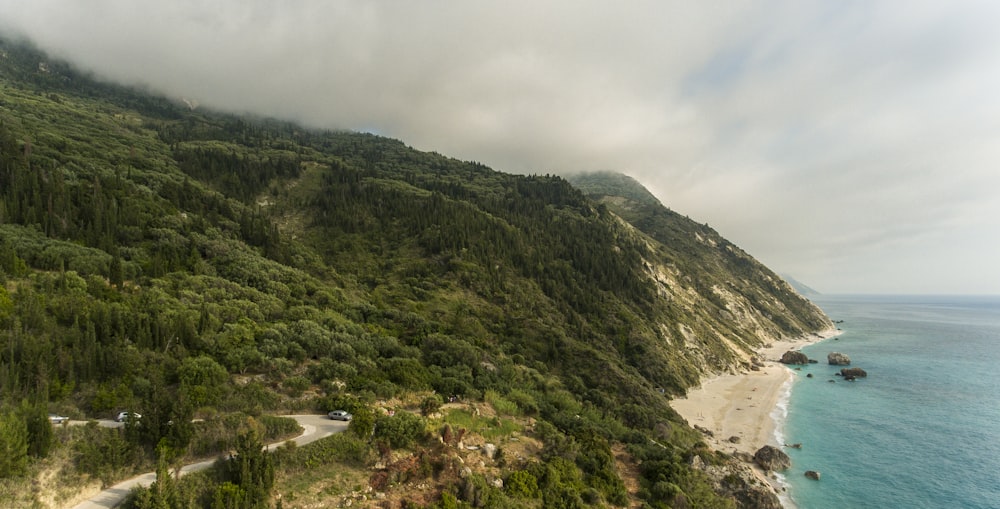 aerial photography of grey concrete road near trees and blue body of water under white clouds at daytime