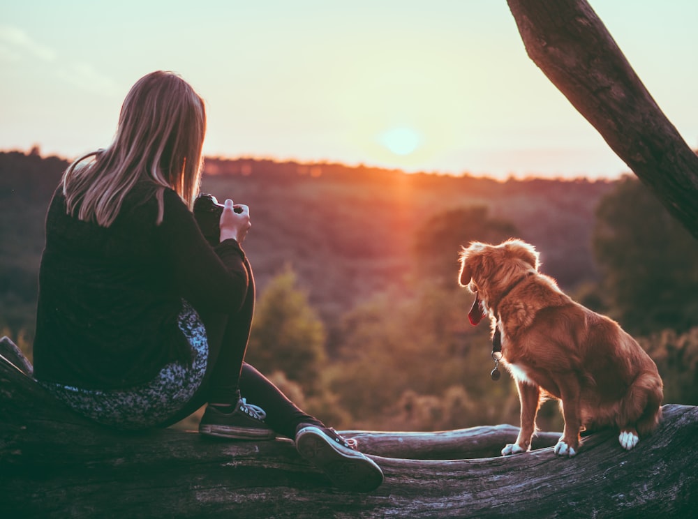 woman near brown dog