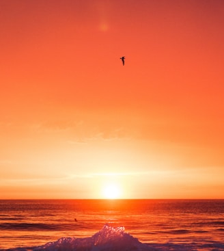 seawaves during sunset