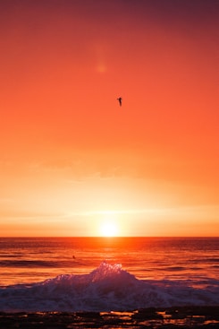 seawaves during sunset