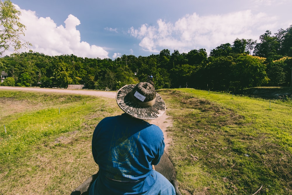 man on top of cattle at grass fields