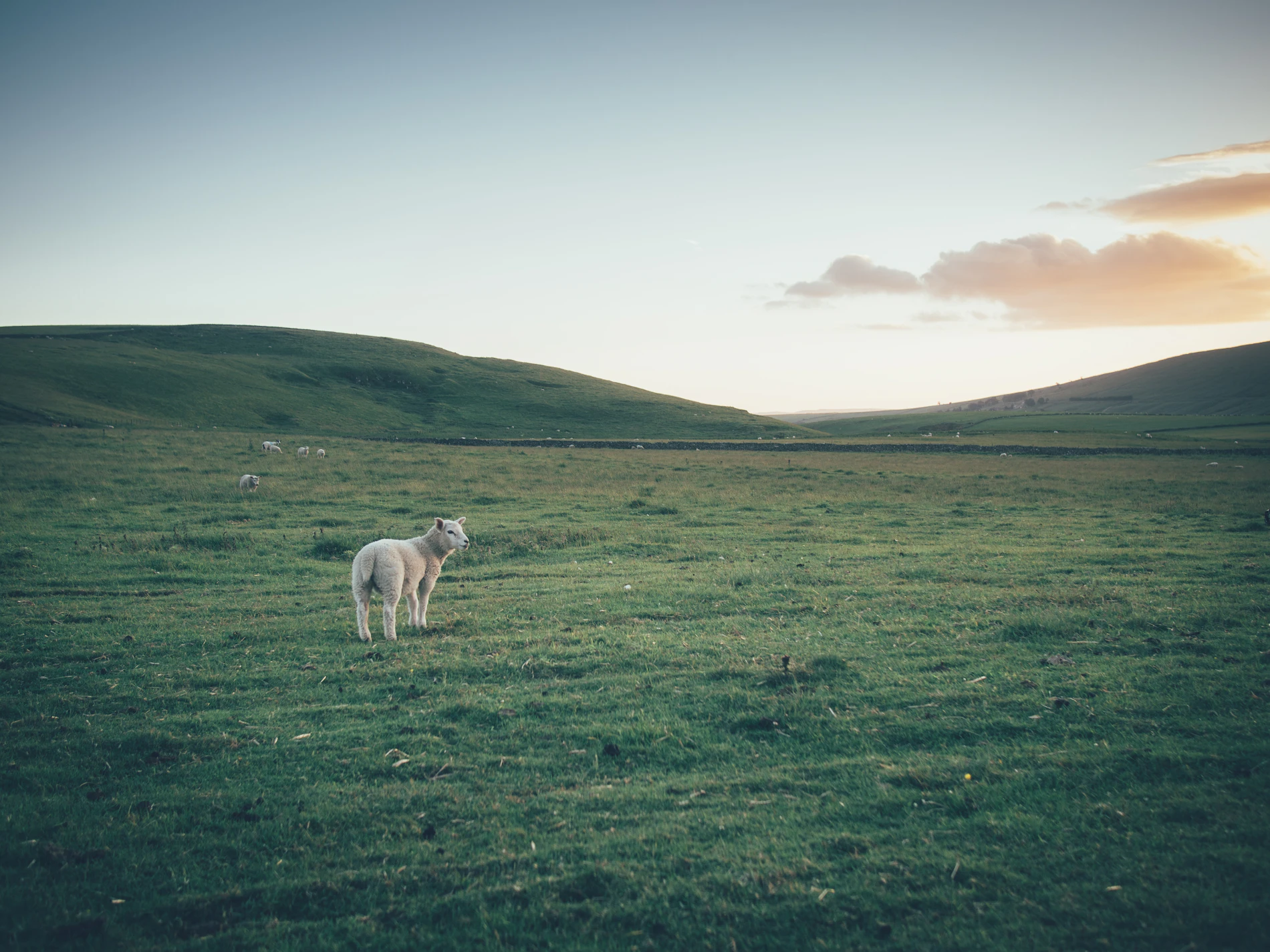 La ferme au crépuscule