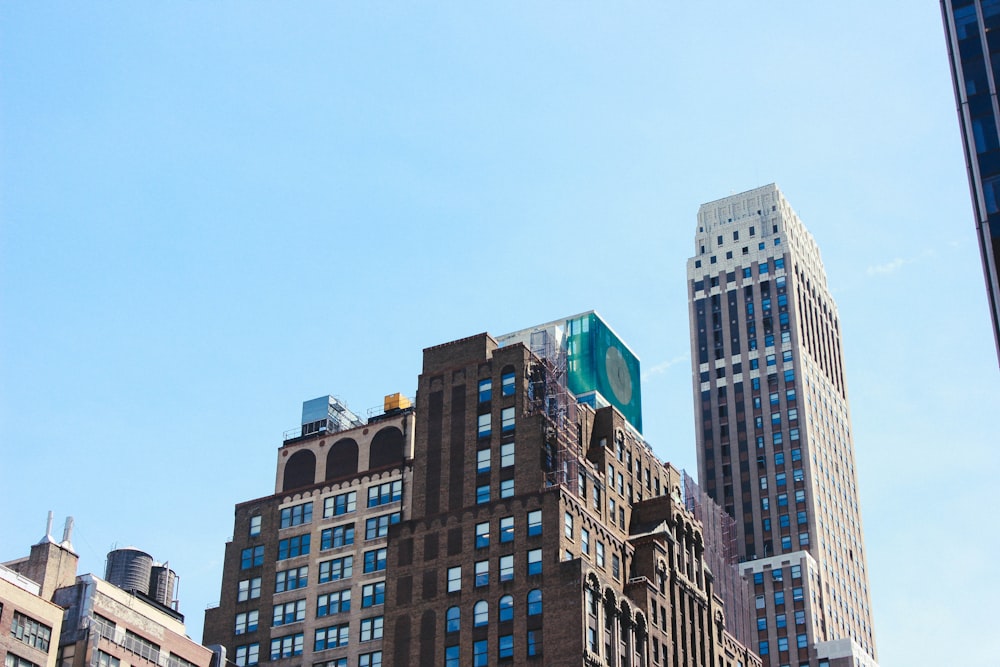 high-rise buildings under bluw sky