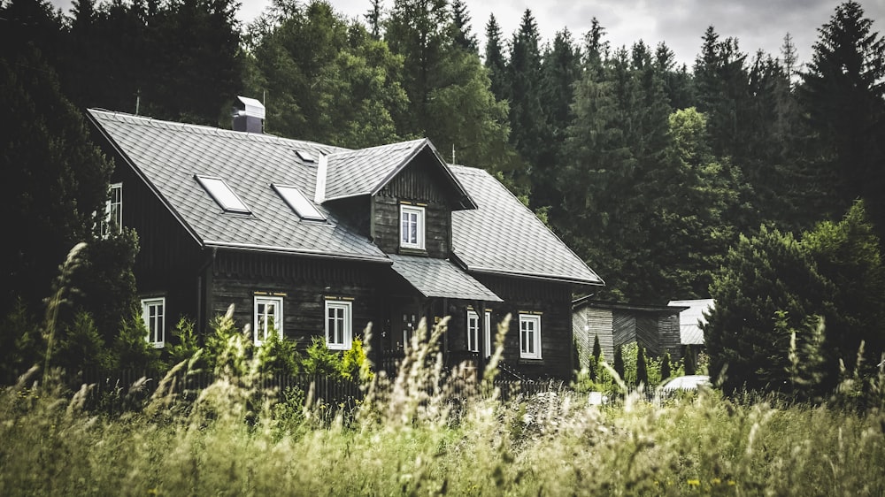 casa de madera gris en el bosque