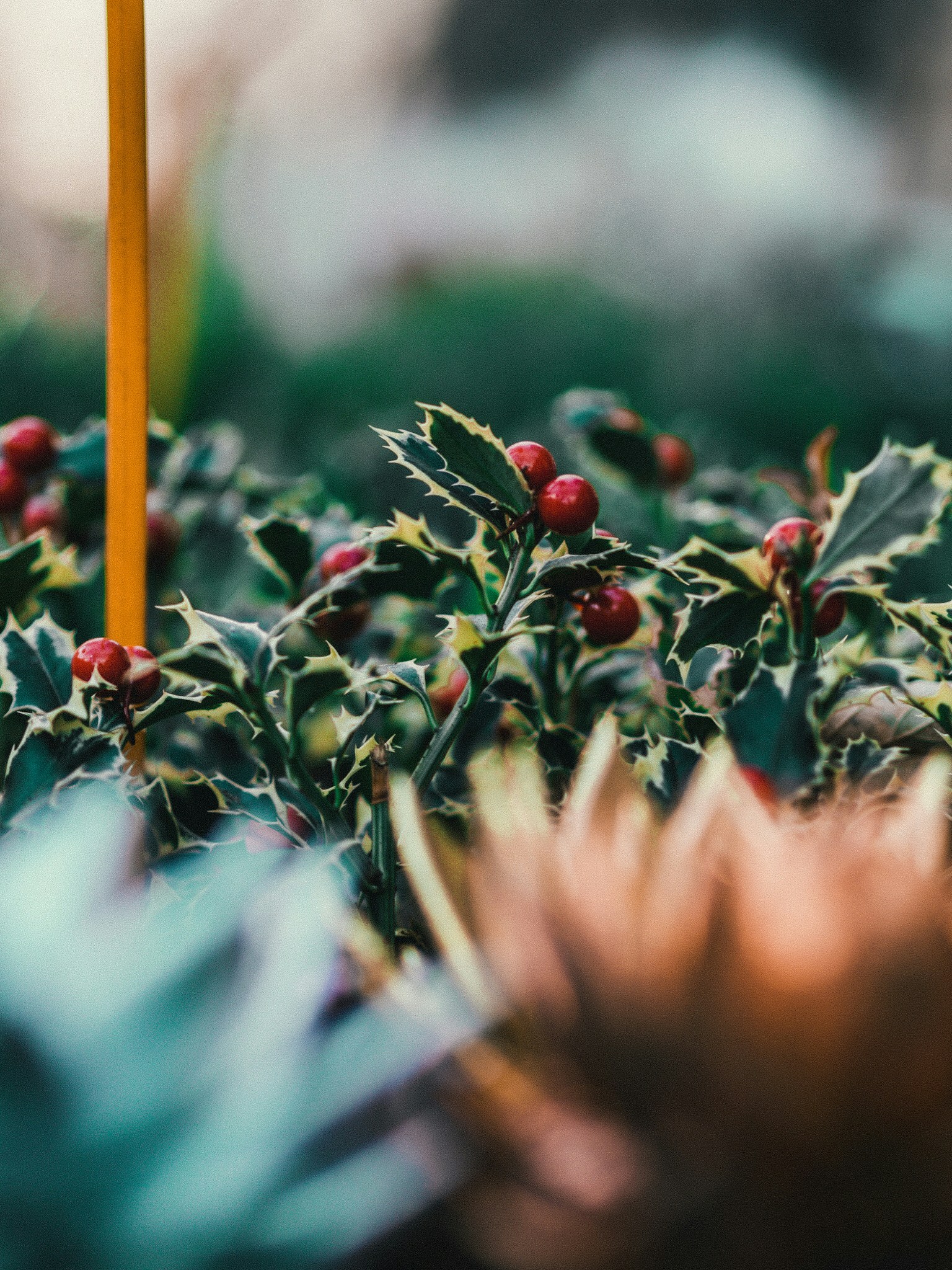 Photo by aldyrkhanov