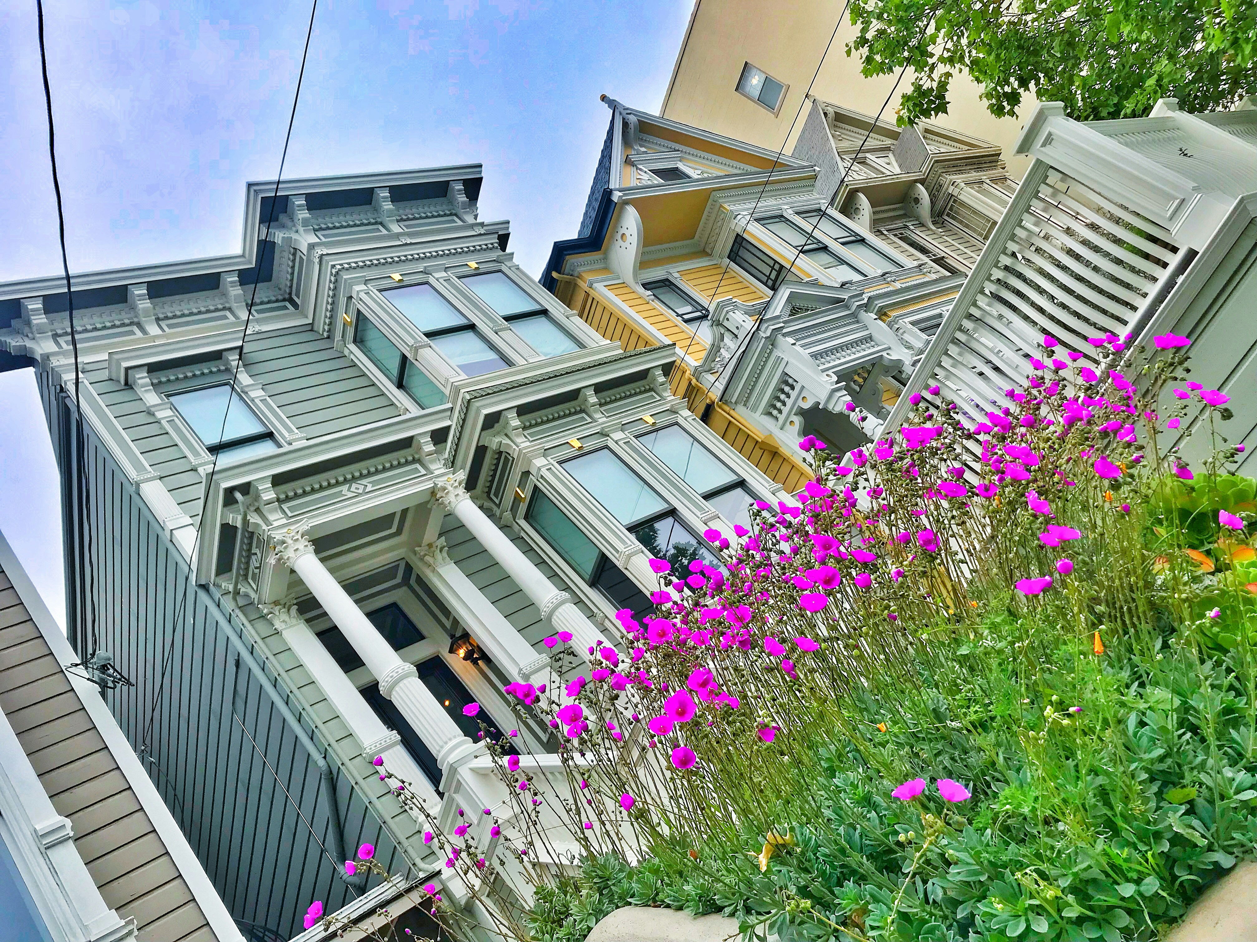 gray and brown houses, 