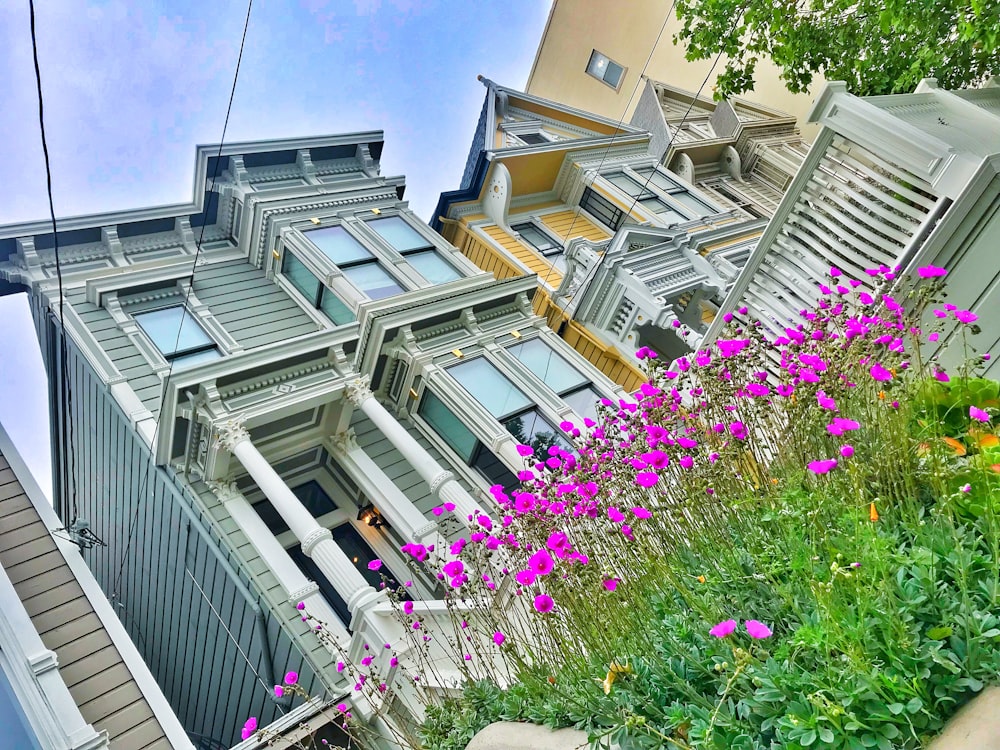 gray and brown houses