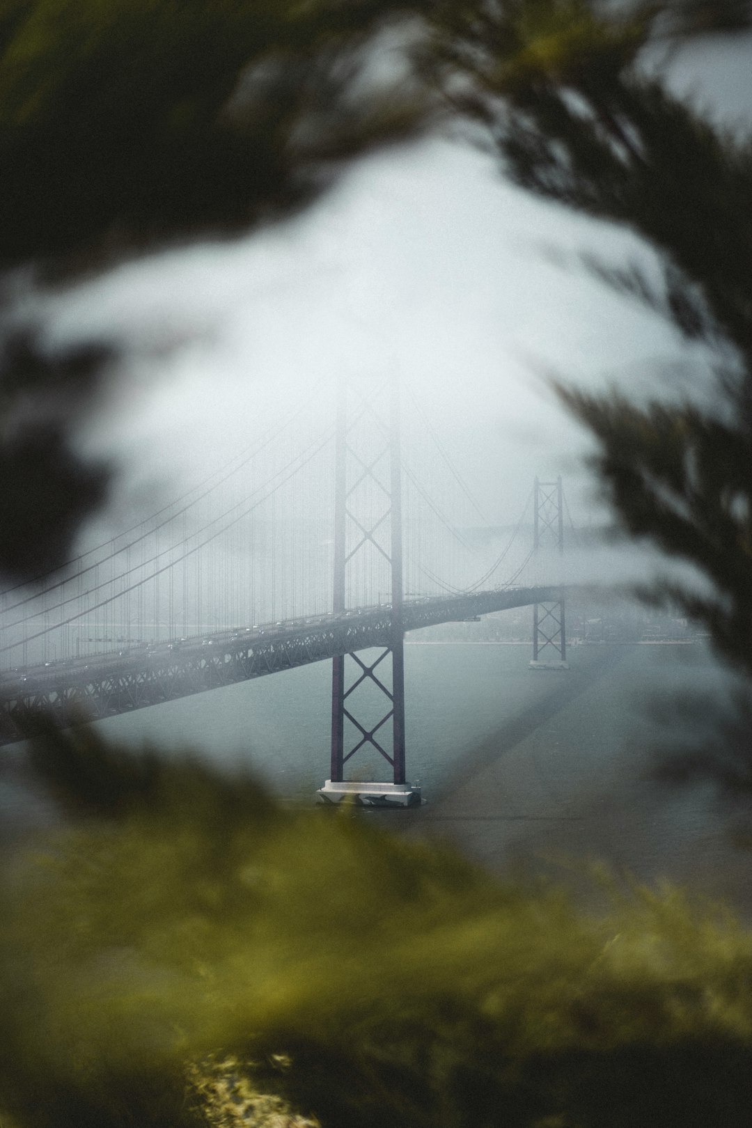 Bridge photo spot Ponte 25 de Abril Cacilhas