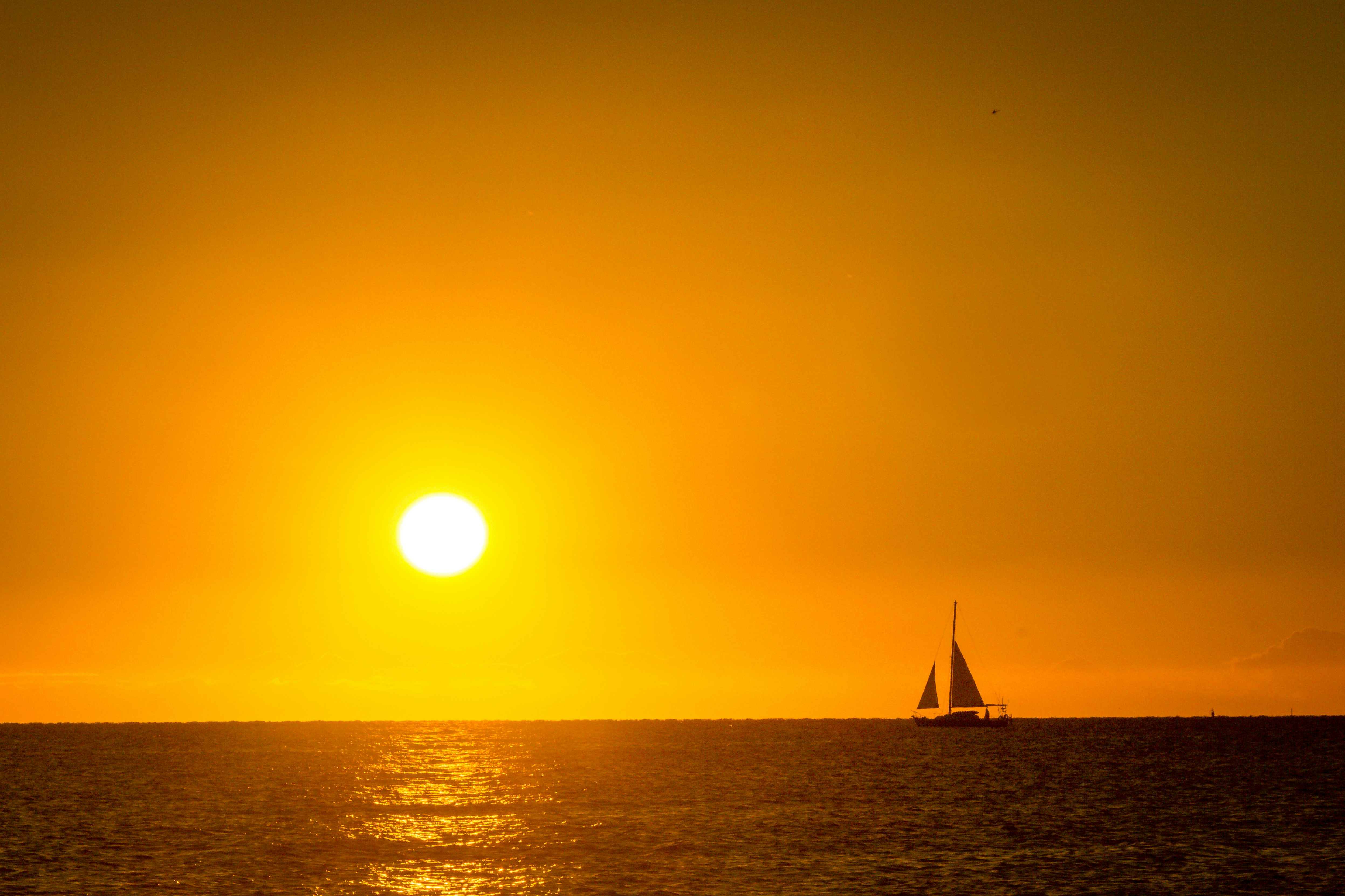 FLBP 22 best free flbp accessory wrist and woman 