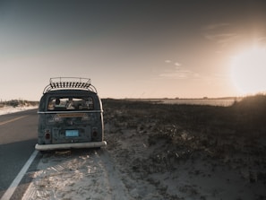 gray van parked near grass field