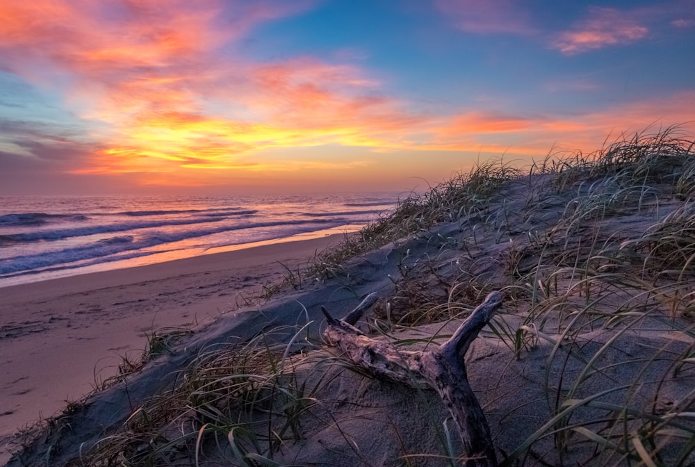 bord de mer au coucher du soleil