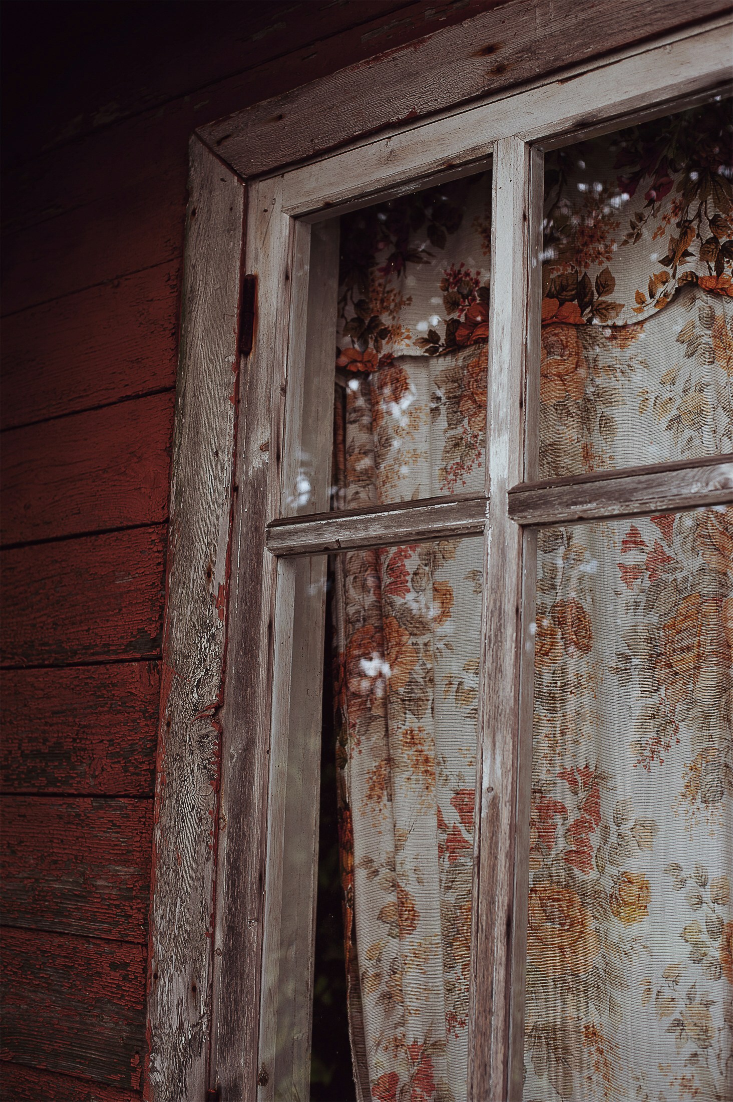 glass window covered with floral curtain
