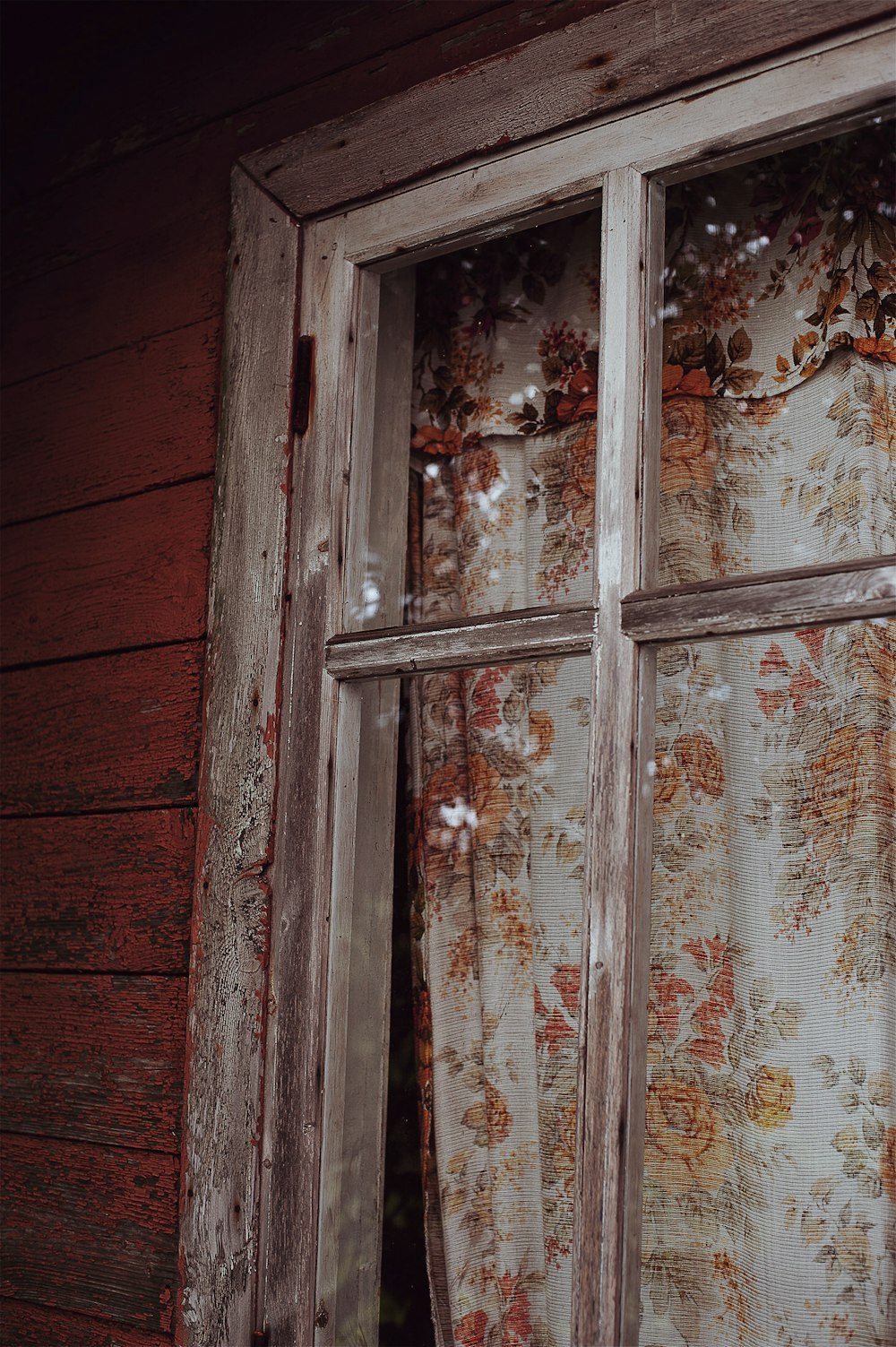 glass window covered with floral curtain