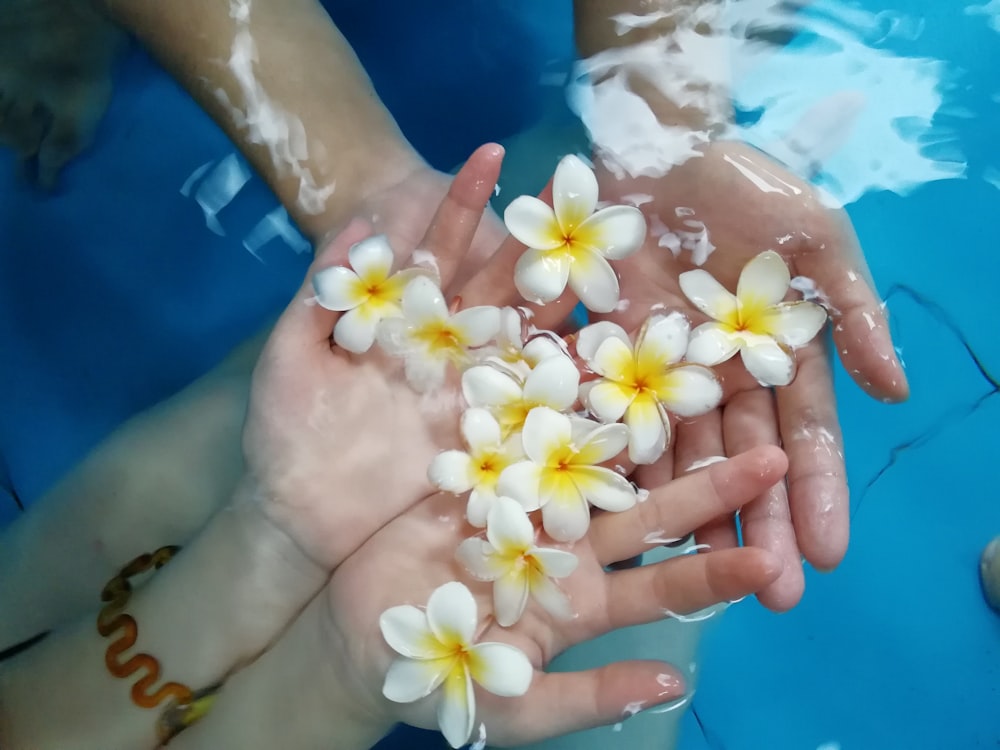 person holding white petal flower
