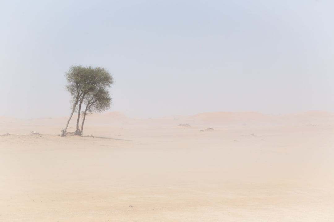 Desert photo spot Dubai Hatta