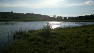 A calm nature scene depicting a serene landscape.