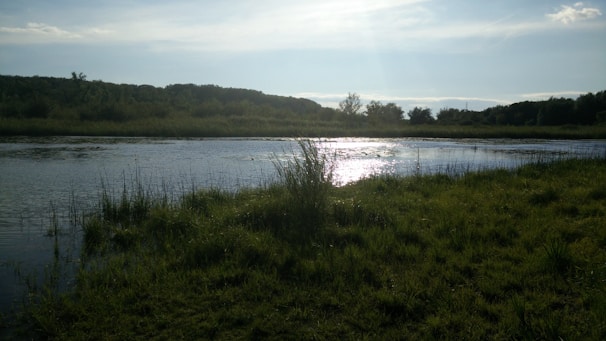 A calm nature scene depicting a serene landscape.