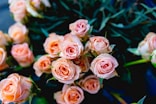 pink flowers