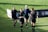 Four women in sports attire are walking across a grass field. They are wearing black uniforms with numbers and team logos. The field is green and sunny, and there is a banner in the background.