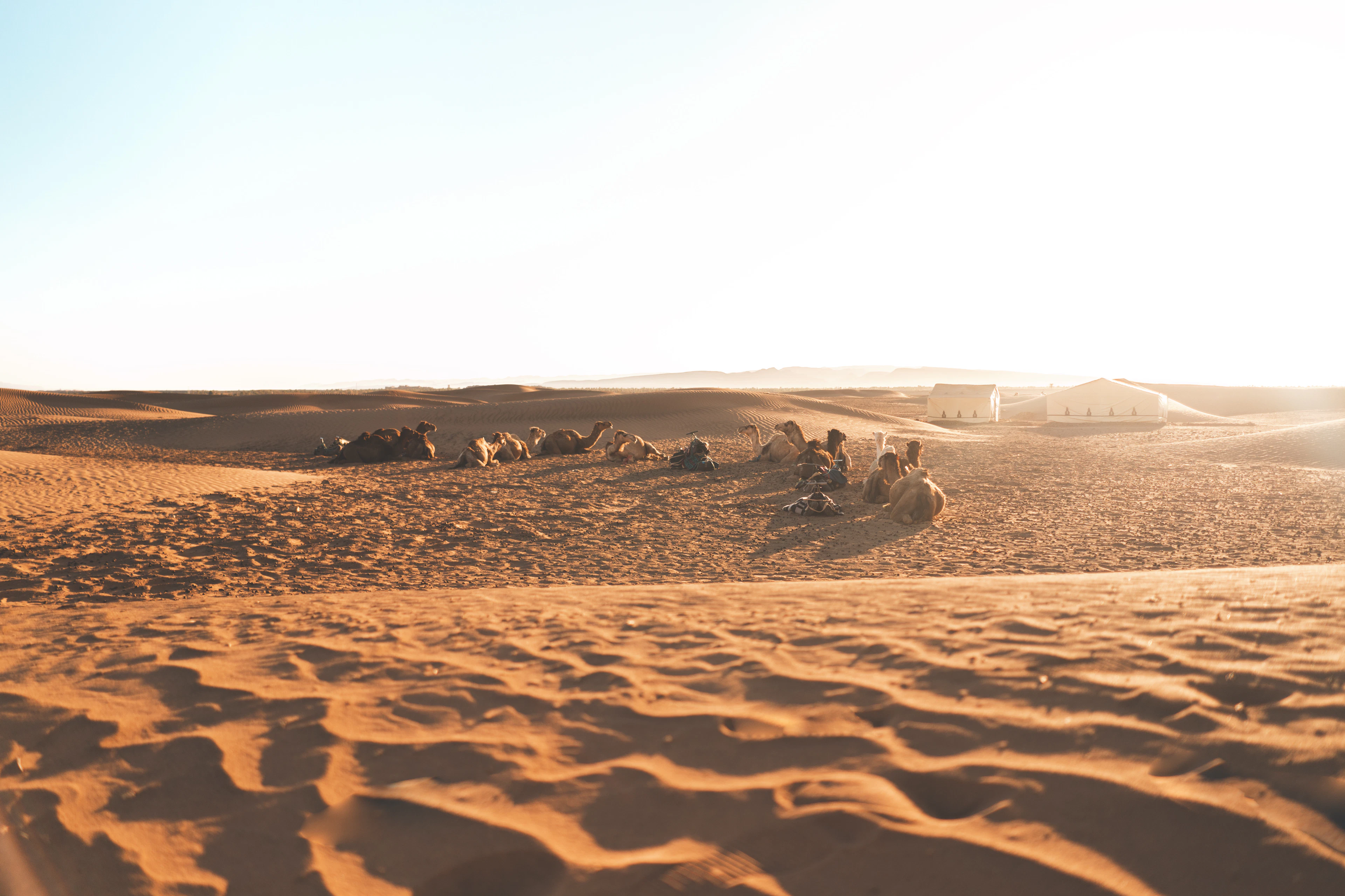Zagora Desert in 2 Days: The Shorter Sahara Option from Marrakech
