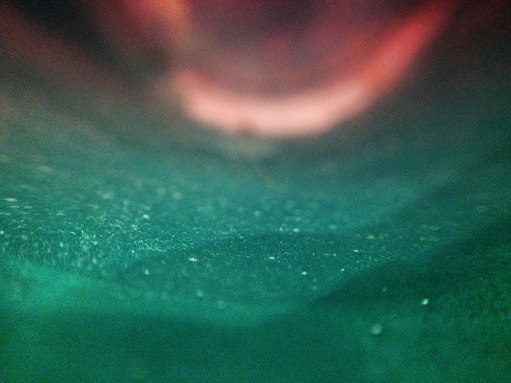 um close up da superfície da água com um fundo desfocado